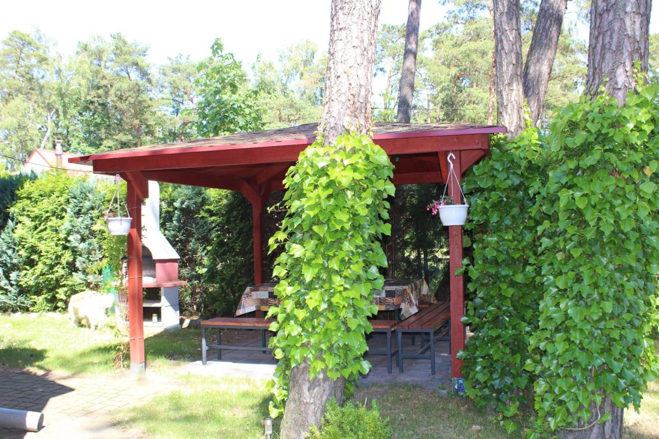 Bed and Breakfast Dom Pod Sosnami Мельно Экстерьер фото